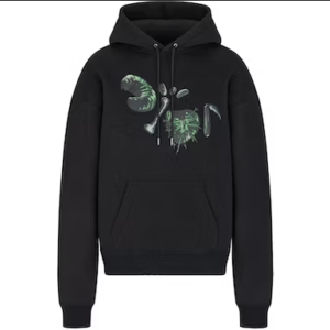 Dior x CACTUS JACK Oversized Hooded Sweatshirt